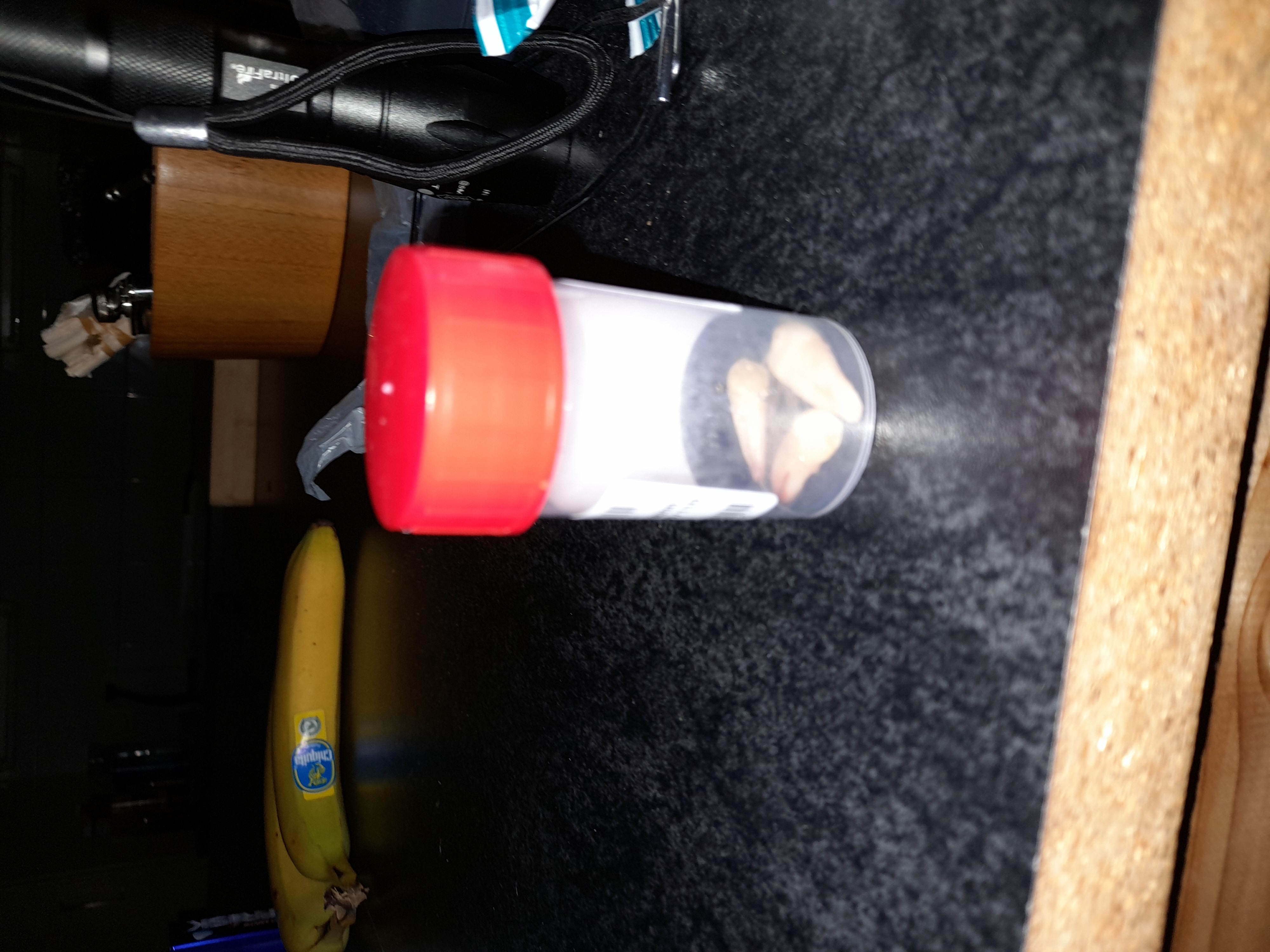 Picture for question