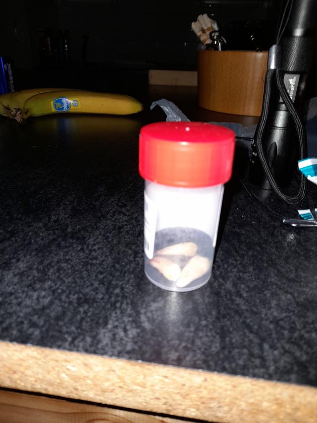 Picture for question