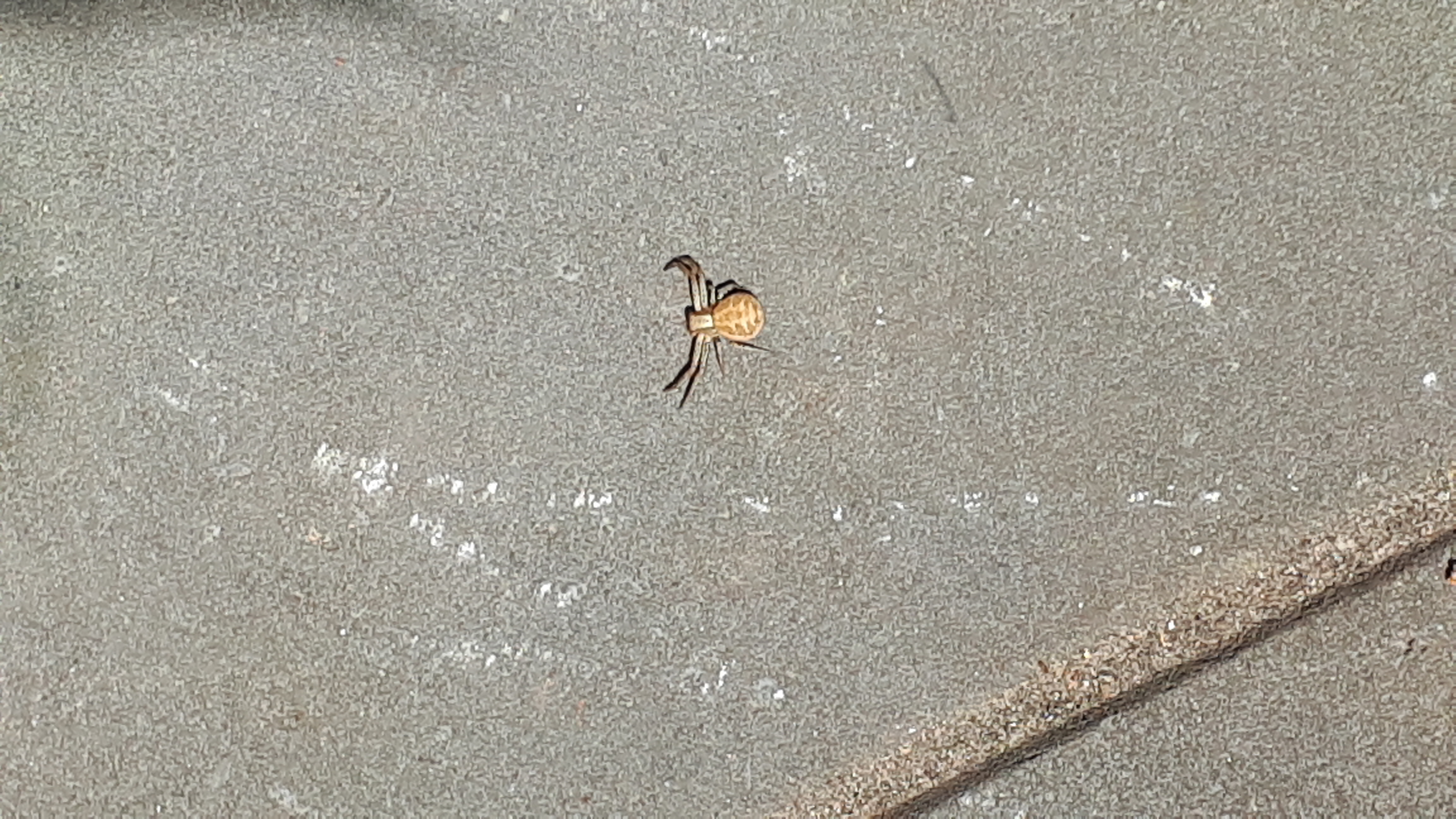 Picture for question