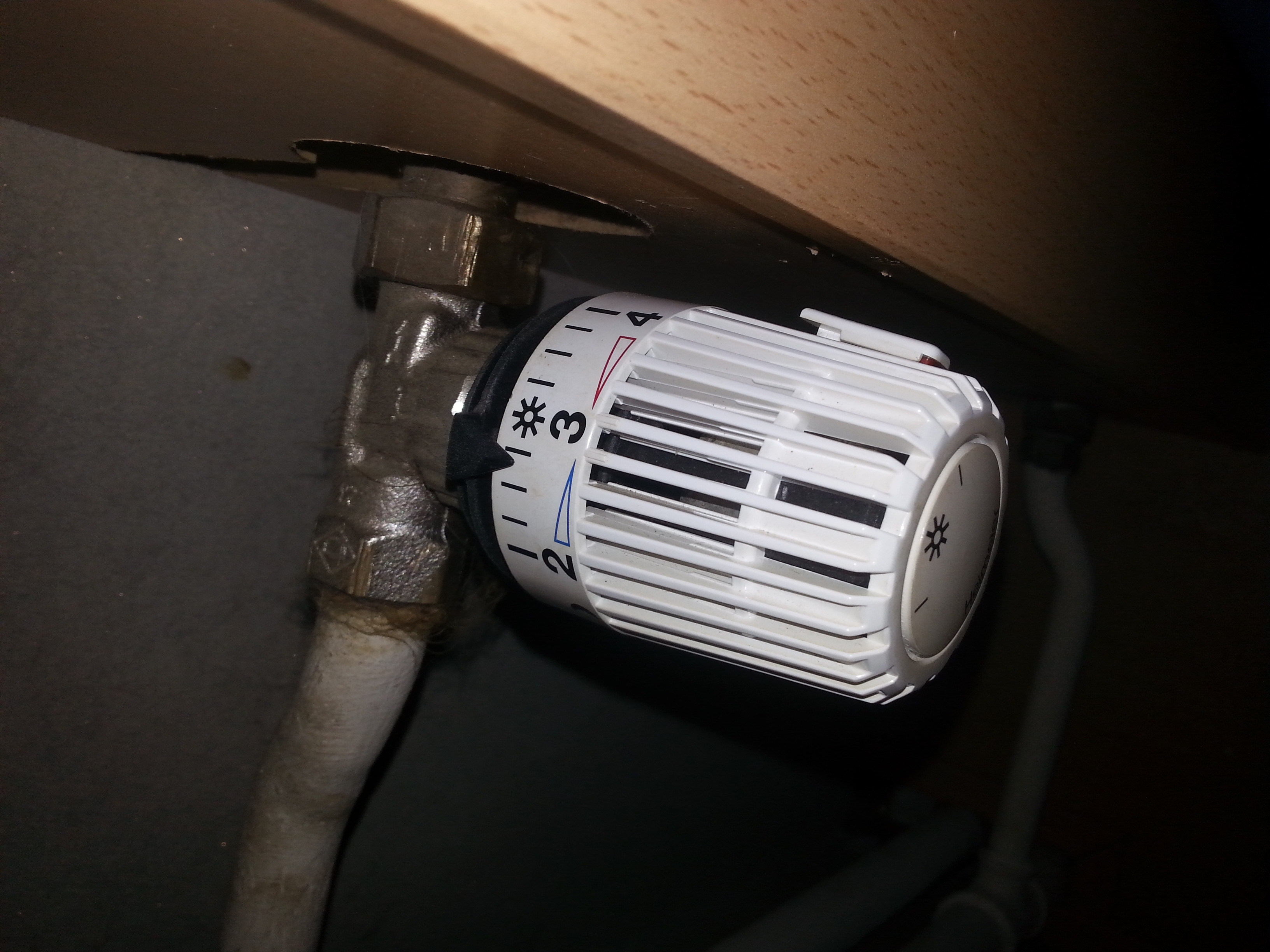 Picture for question