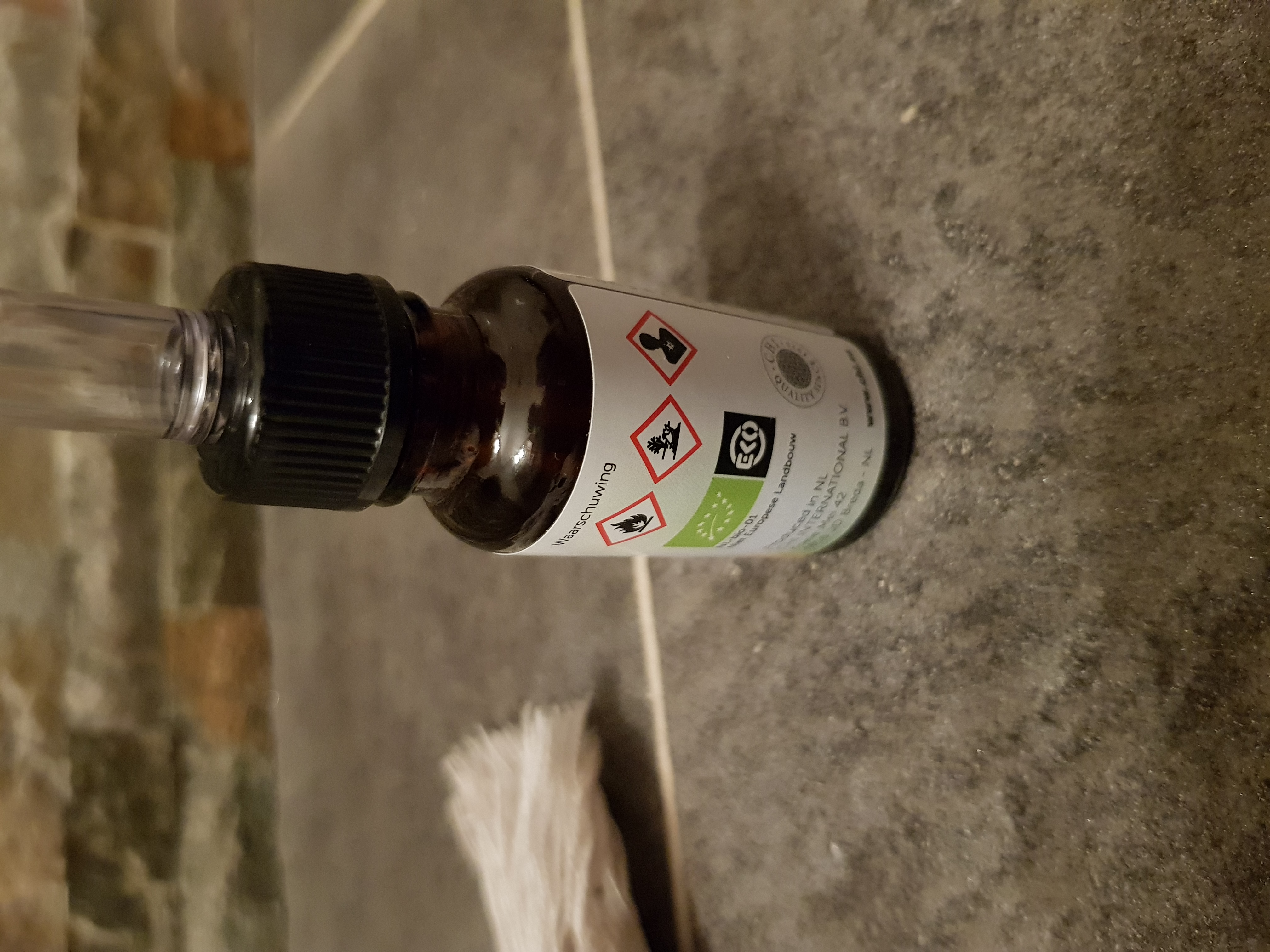 Picture for question