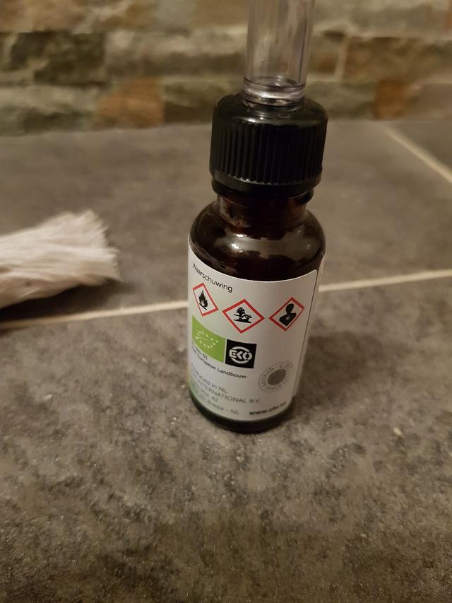 Picture for question