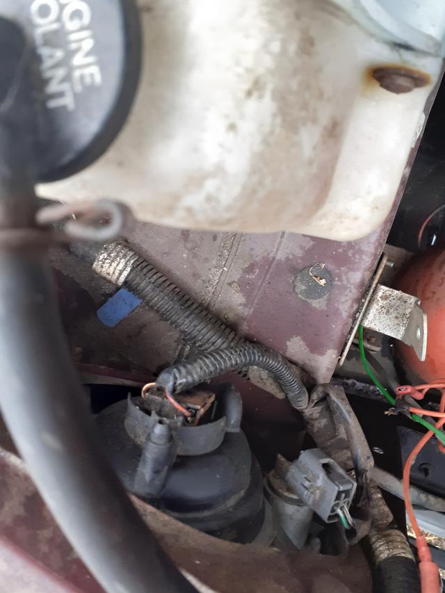 Picture for question