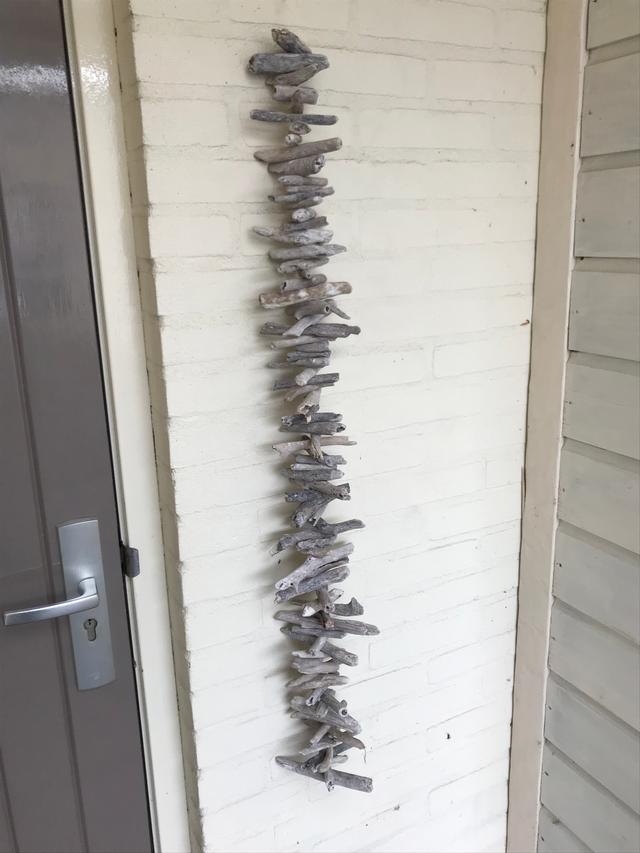 Picture for question