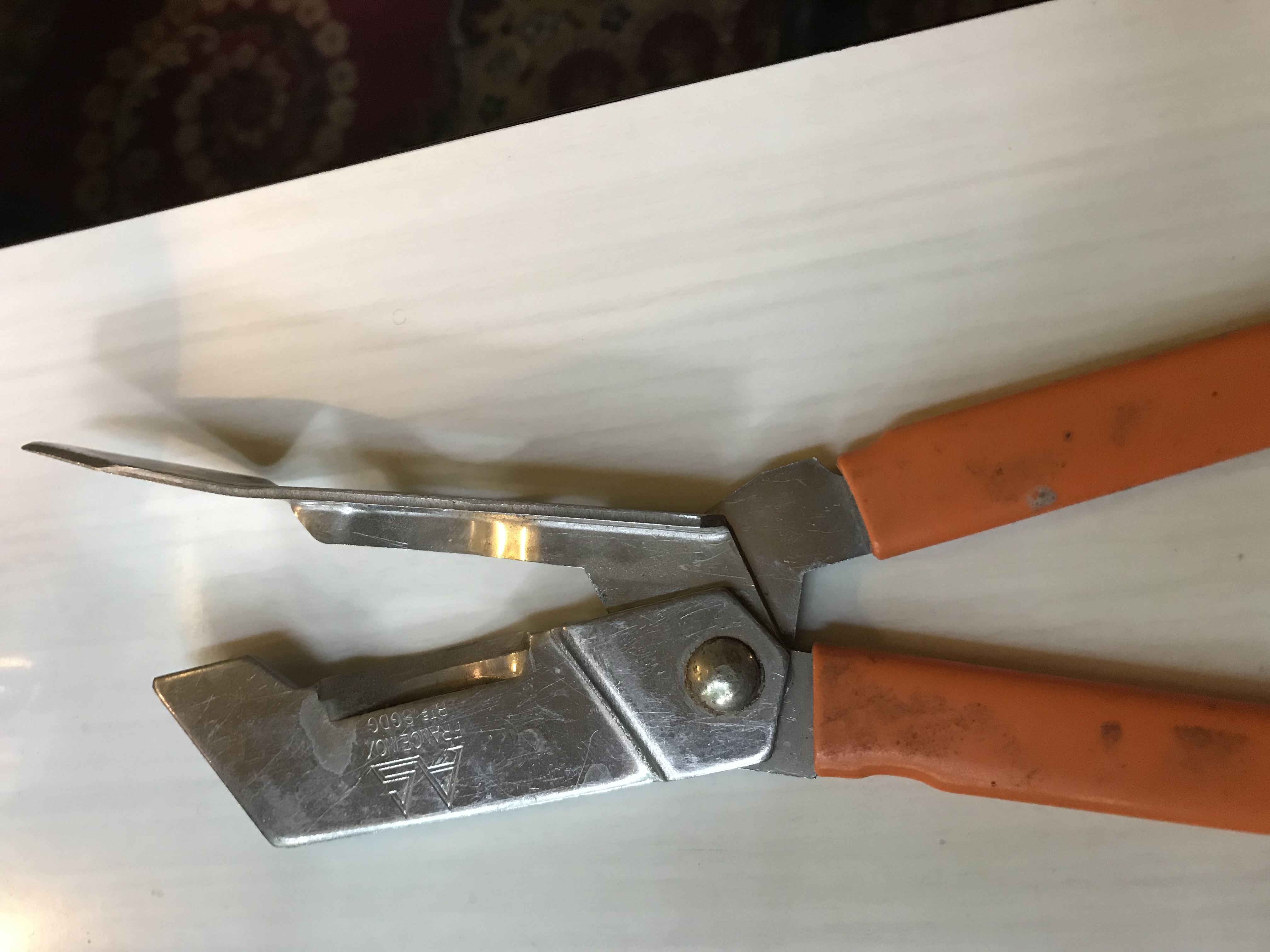 Picture for question