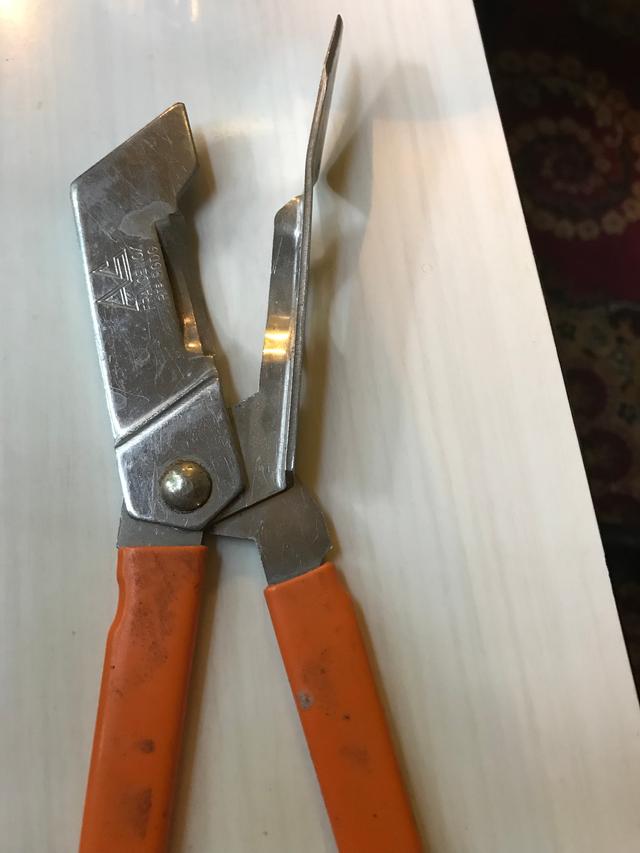 Picture for question