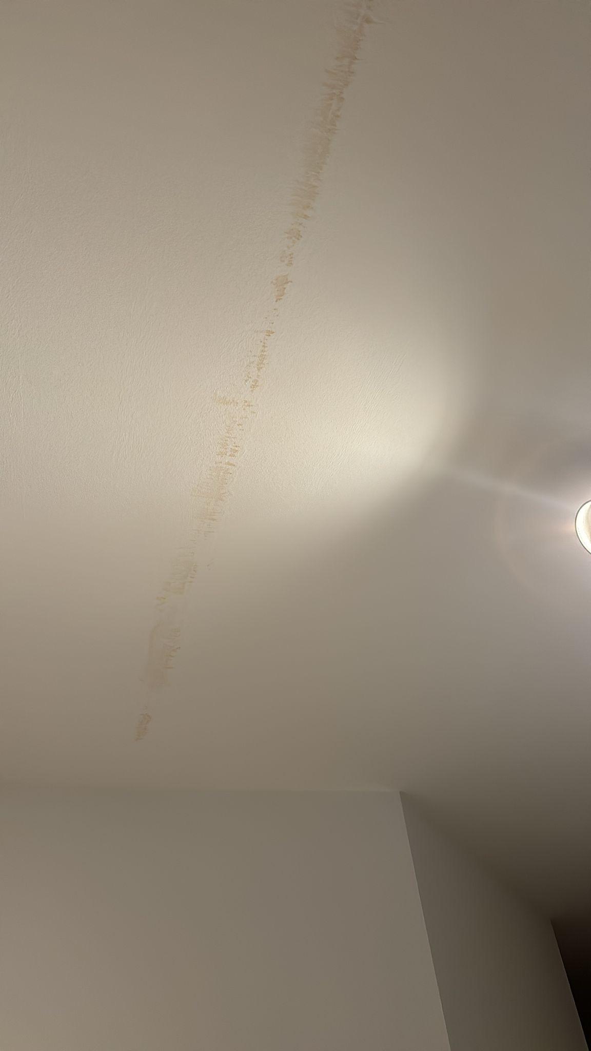 Picture for question