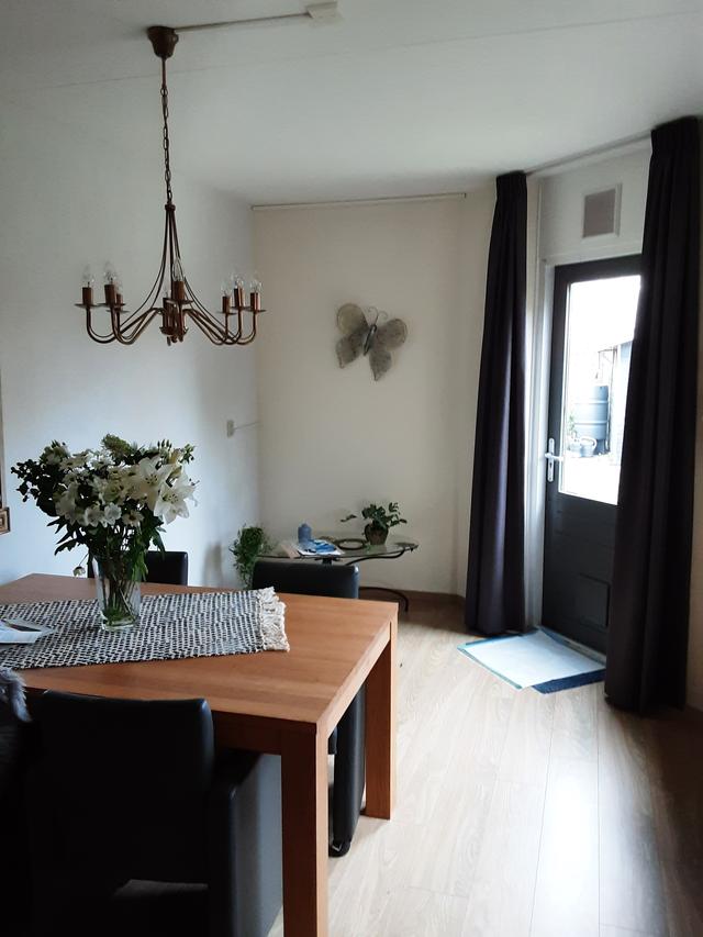 Picture for question