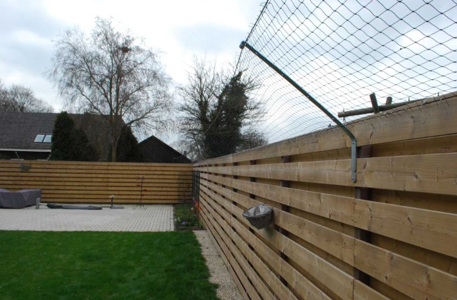 Picture for question