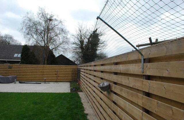 Picture for question