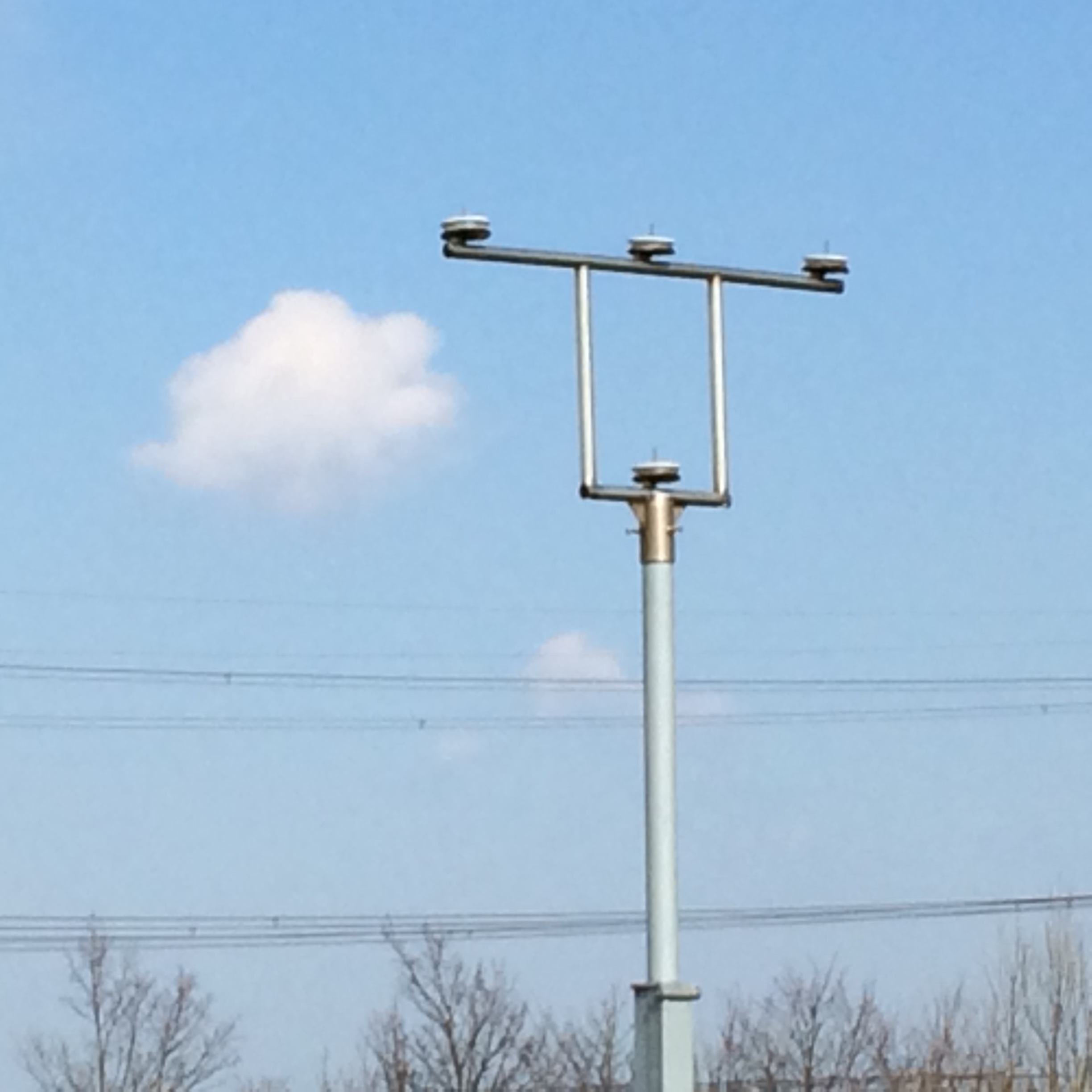 Picture for question