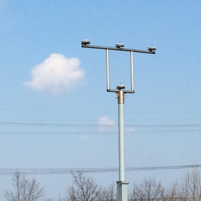 Picture for question