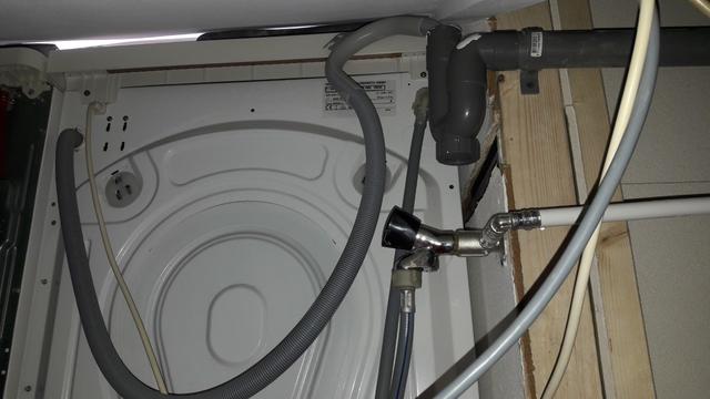 Picture for question