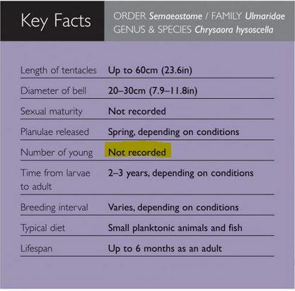 Plaatje bij antwoord