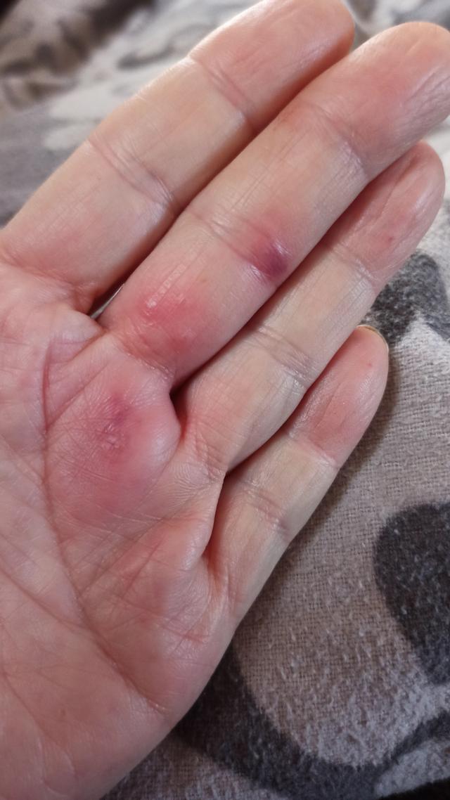 Picture for question