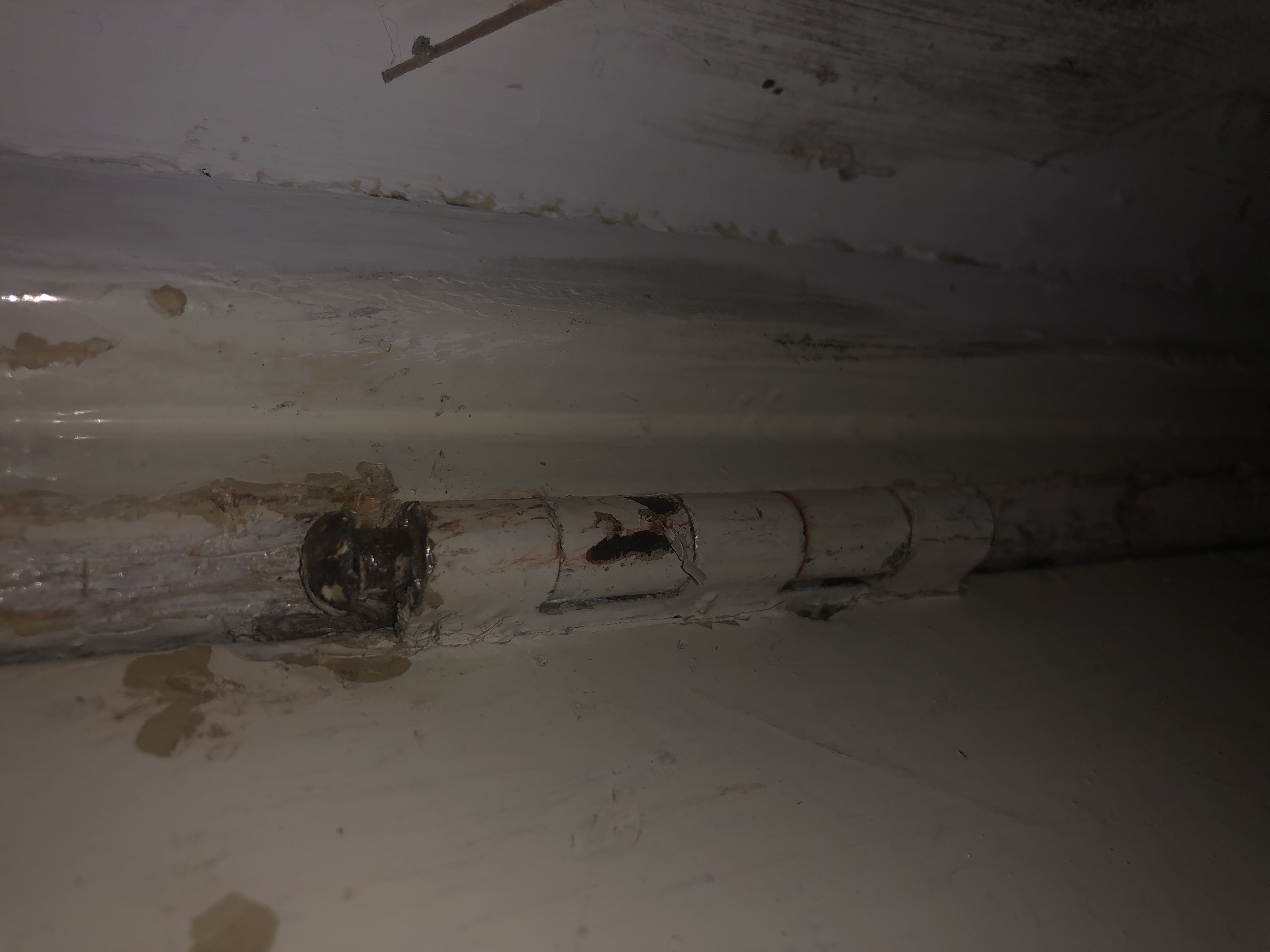 Picture for question