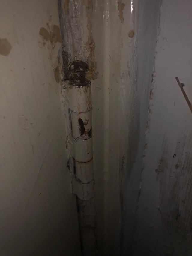 Picture for question