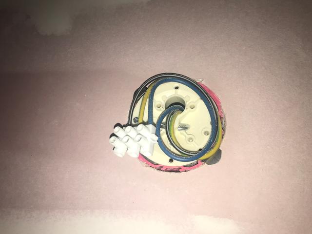 Picture for question