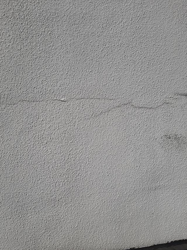 Picture for question