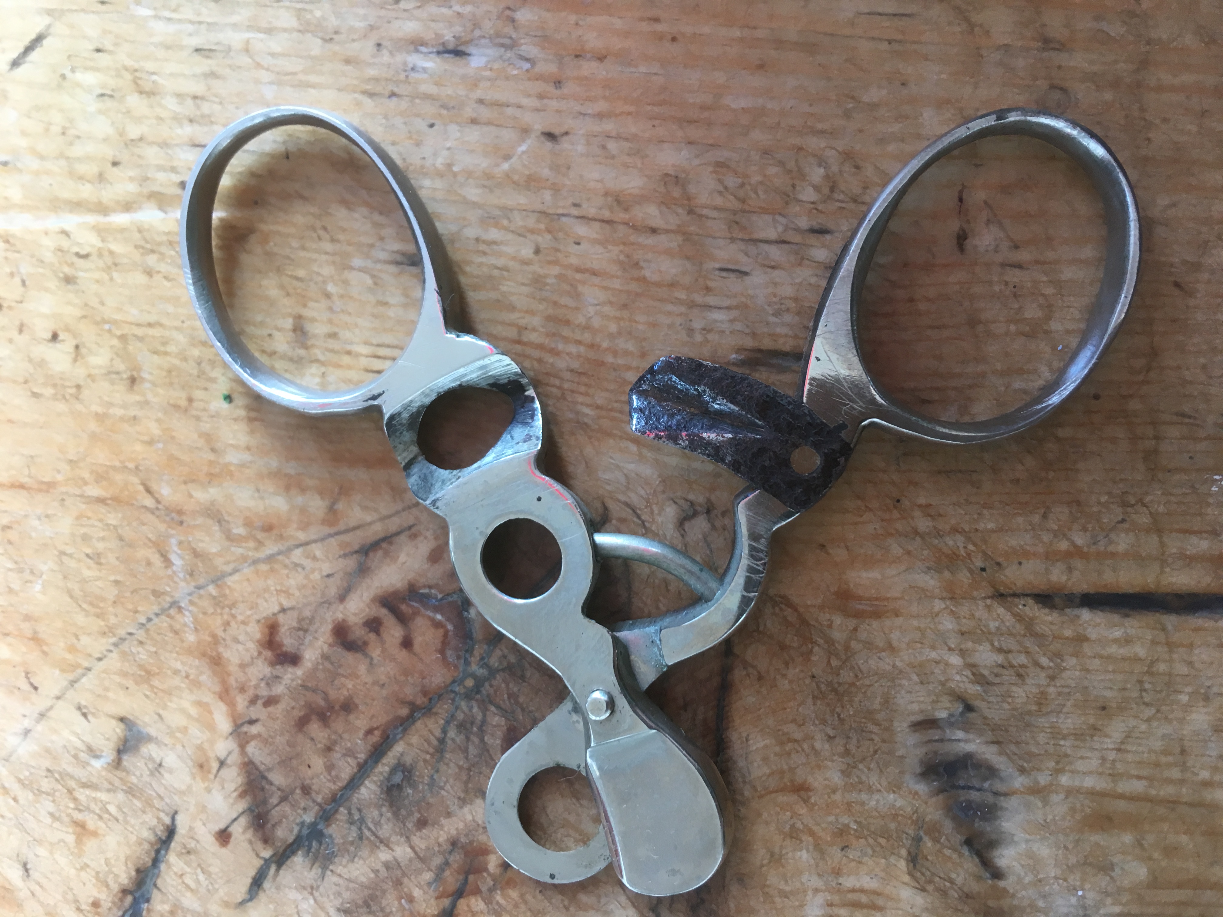 Picture for question