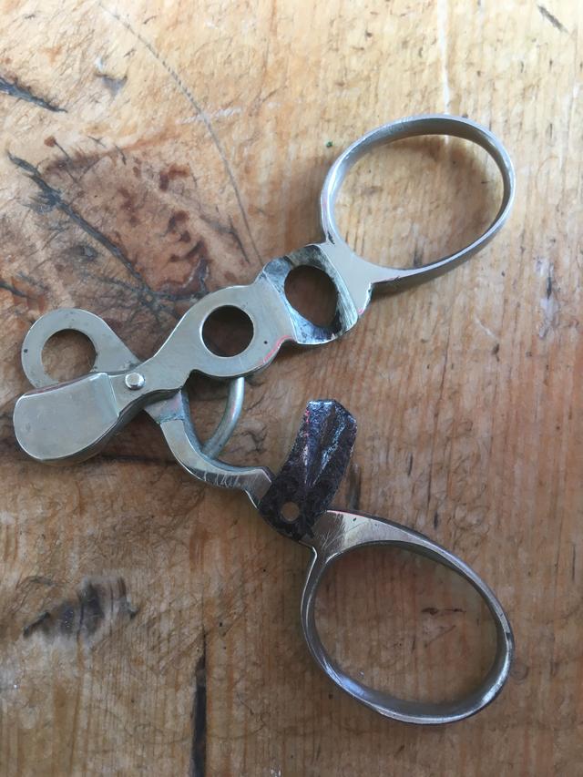 Picture for question