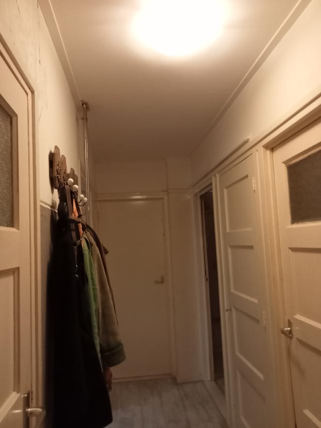 Picture for question