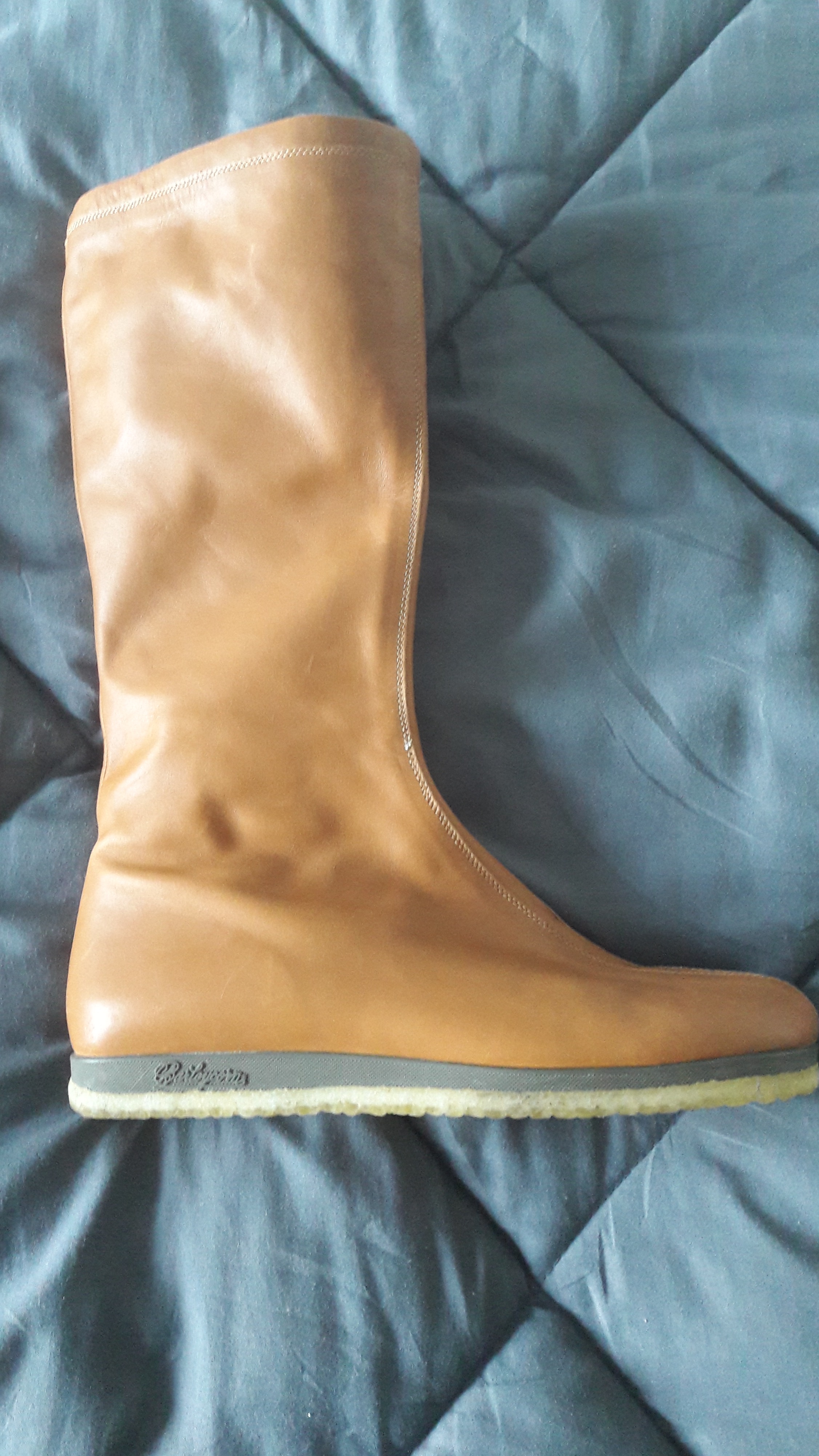 Picture for question