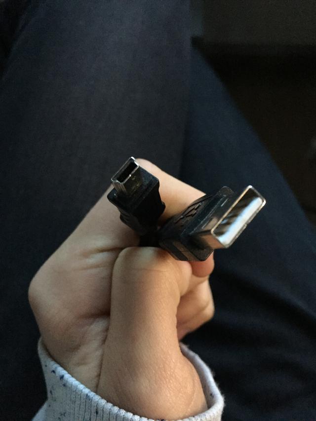 Picture for question