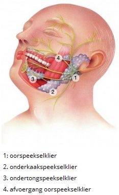 Plaatje bij antwoord