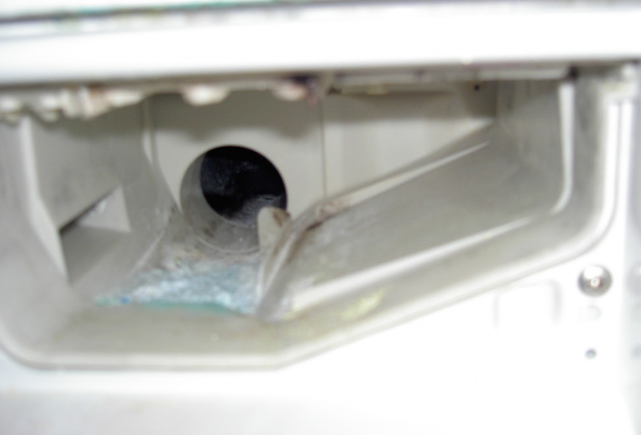 Picture for question