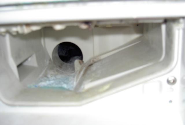 Picture for question