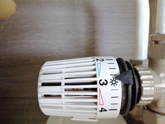 Picture for question