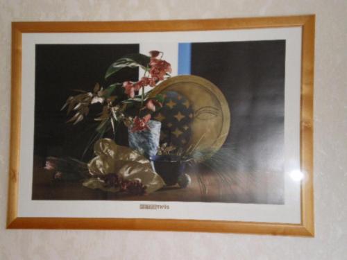 Picture for question