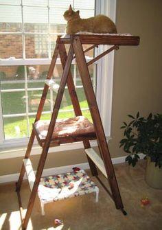 Plaatje bij antwoord