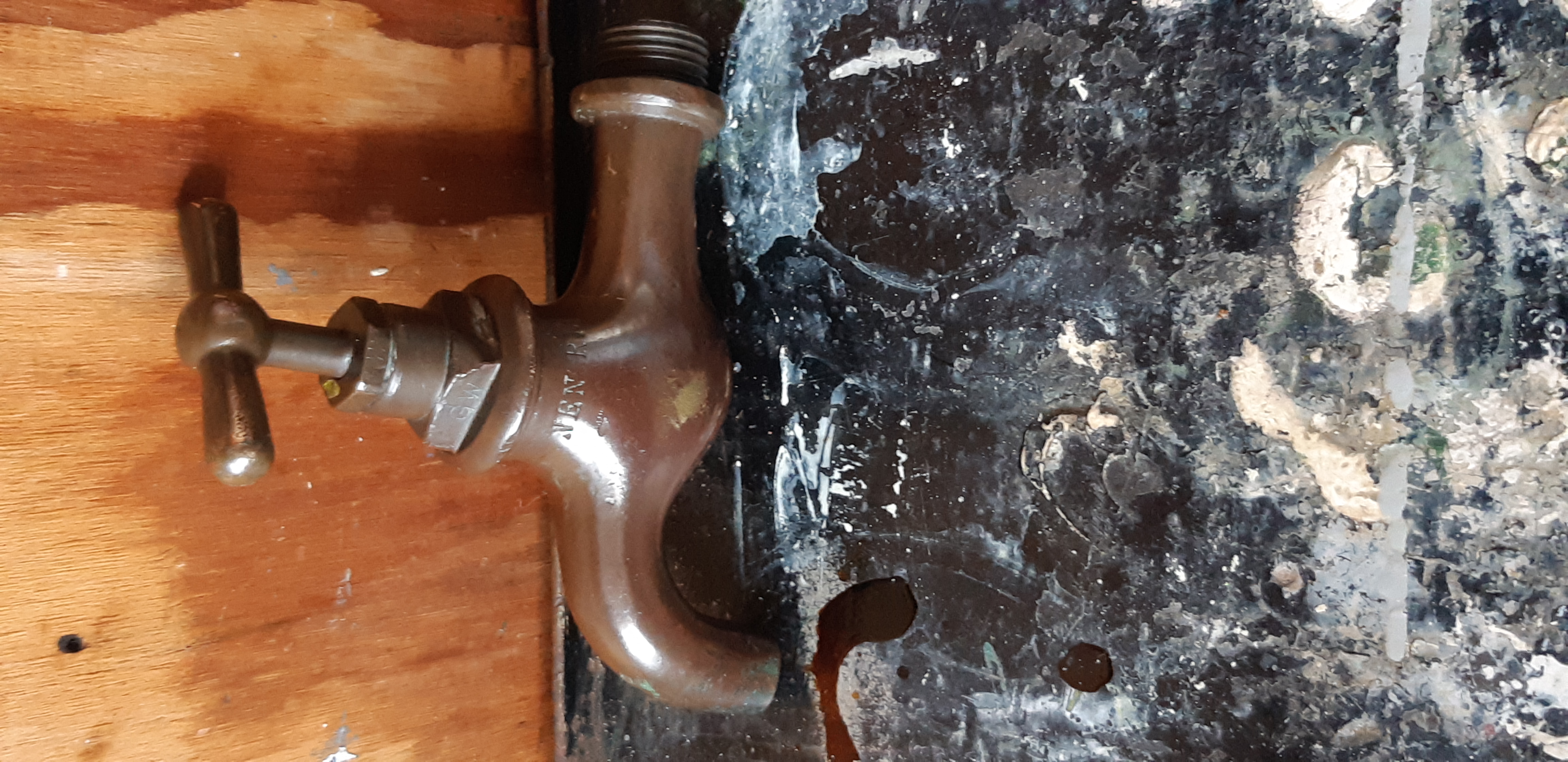 Picture for question