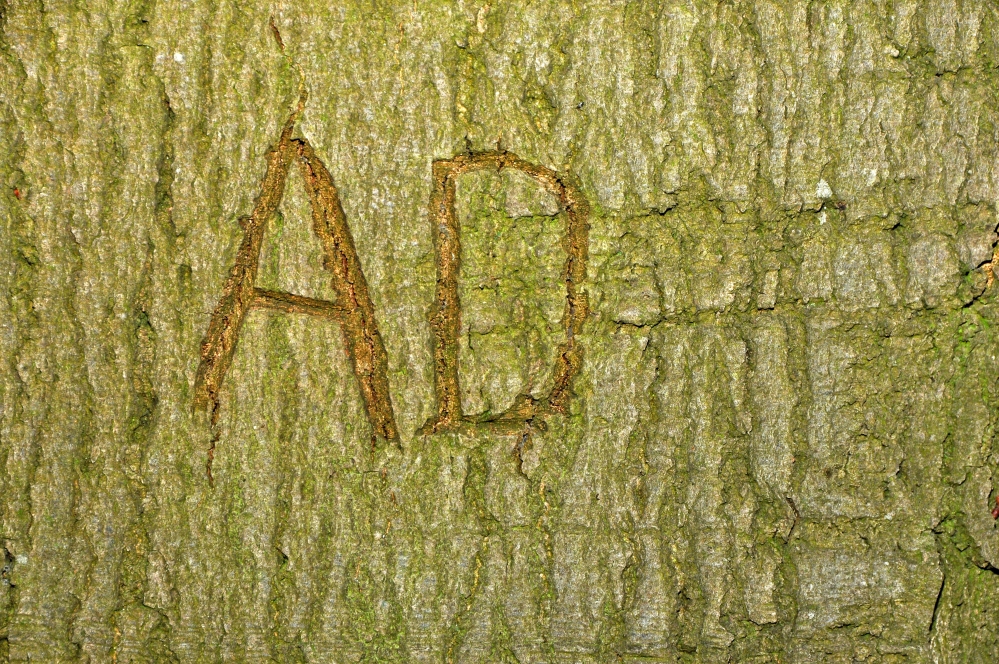 Plaatje bij antwoord