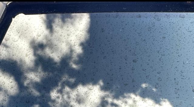 Picture for question