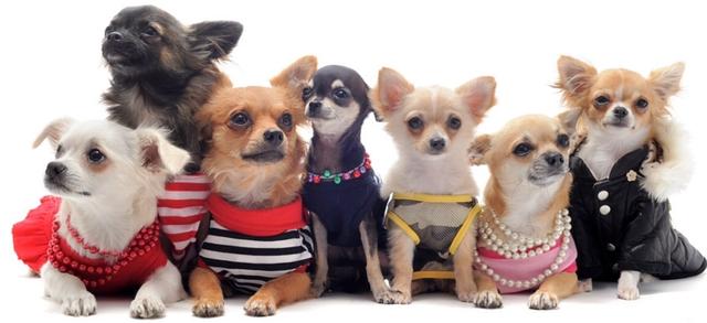 Plaatje bij antwoord