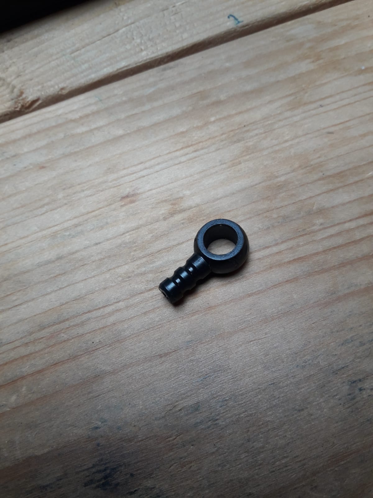 Picture for question