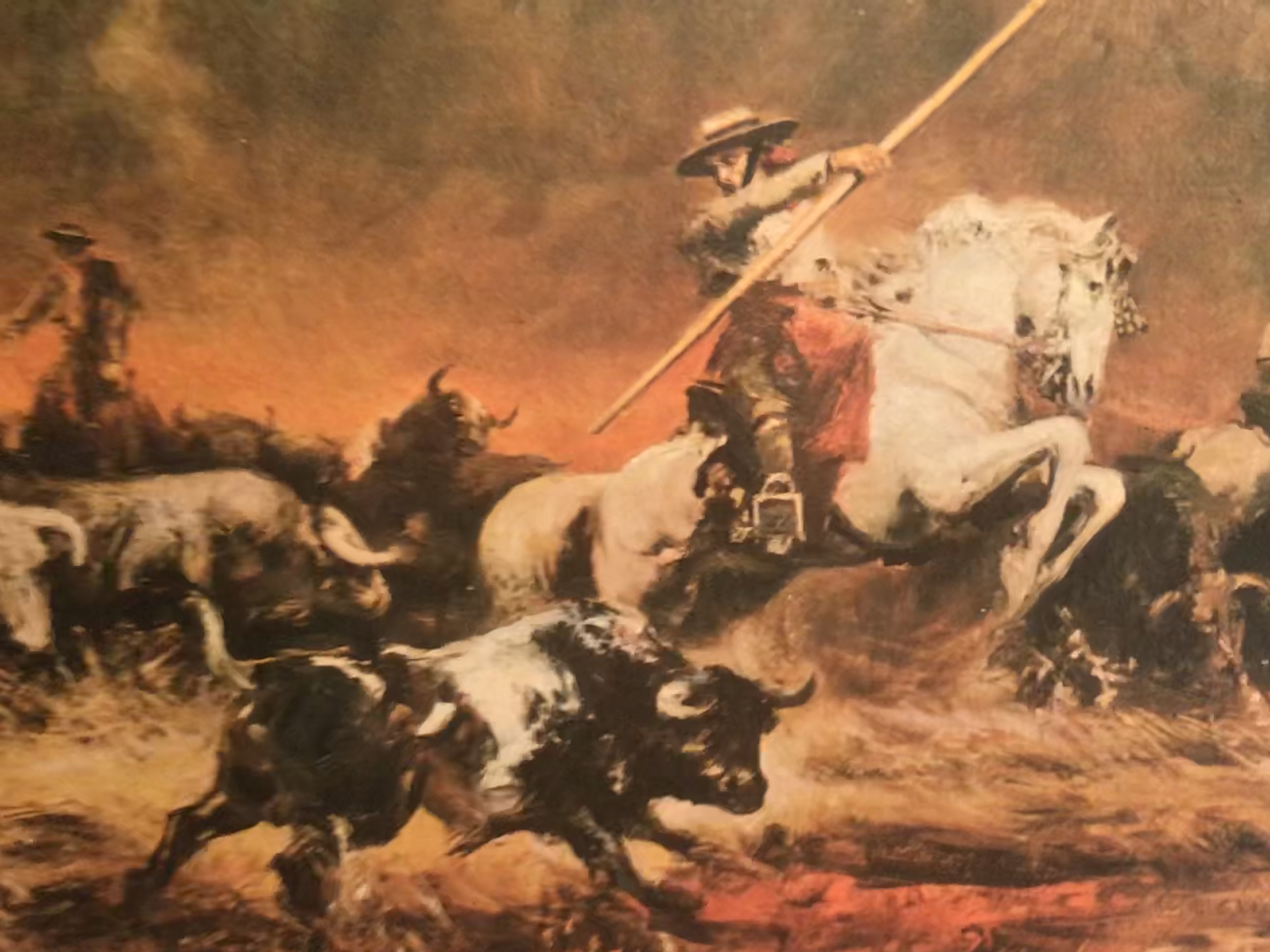 Picture for question