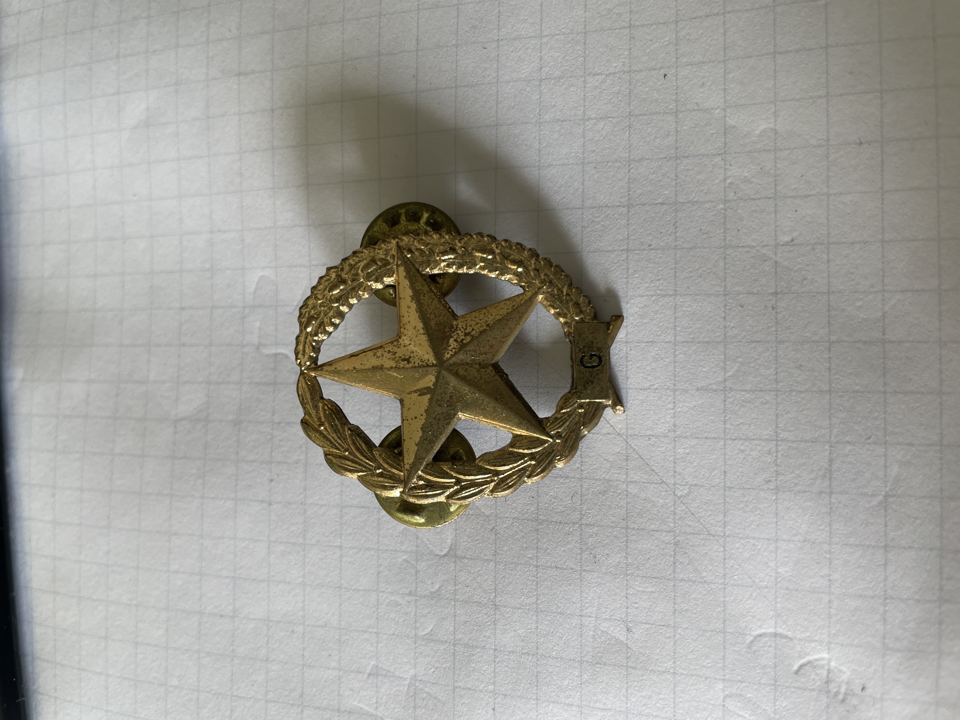 Picture for question