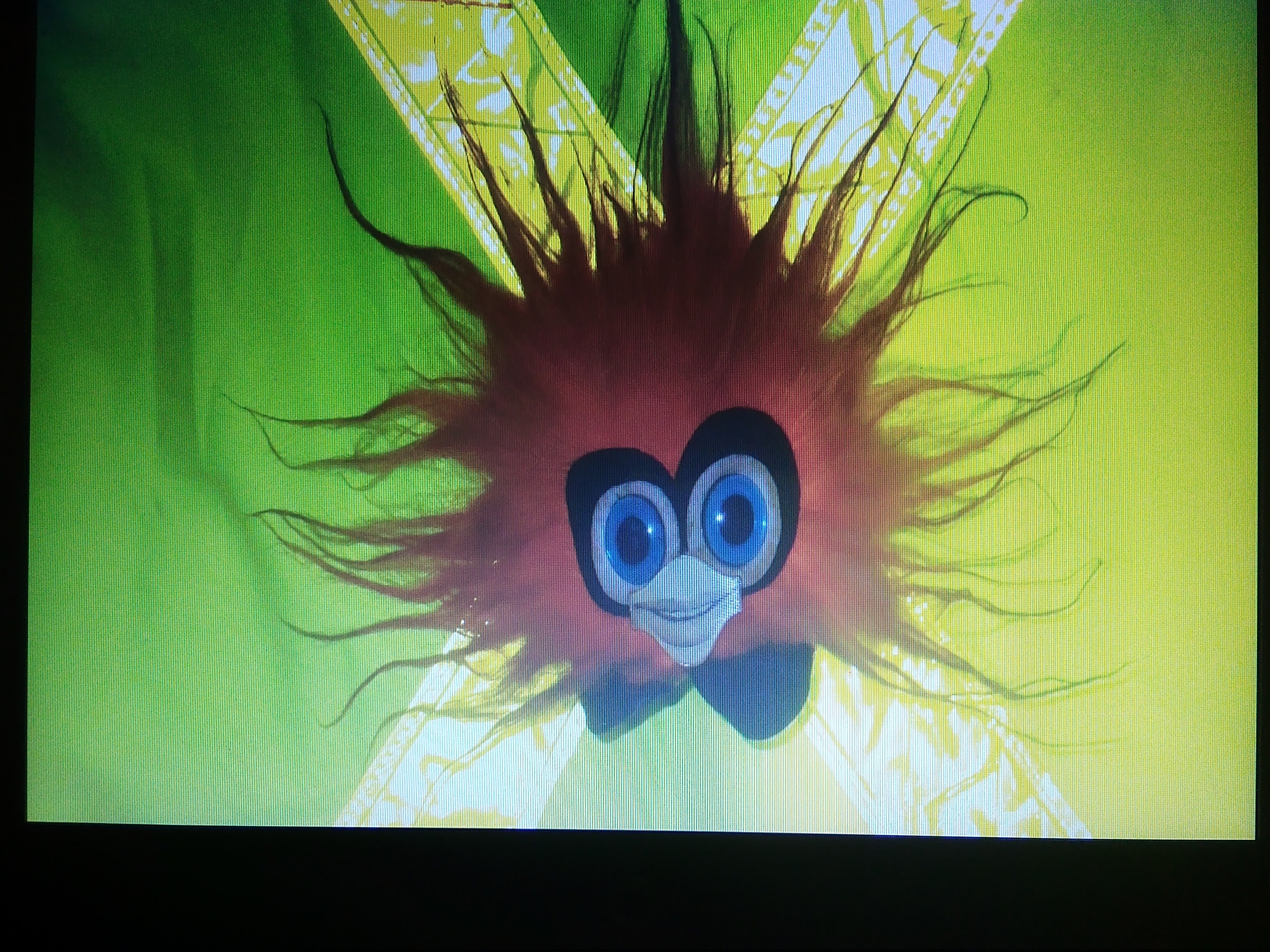 Picture for question