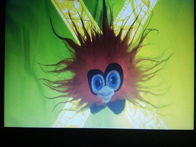 Picture for question