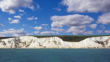 Picture for question