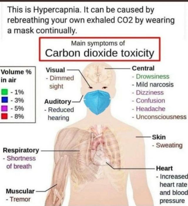 Picture for question