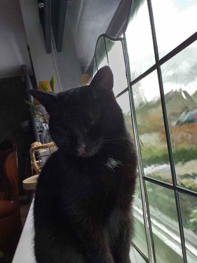 Picture for question