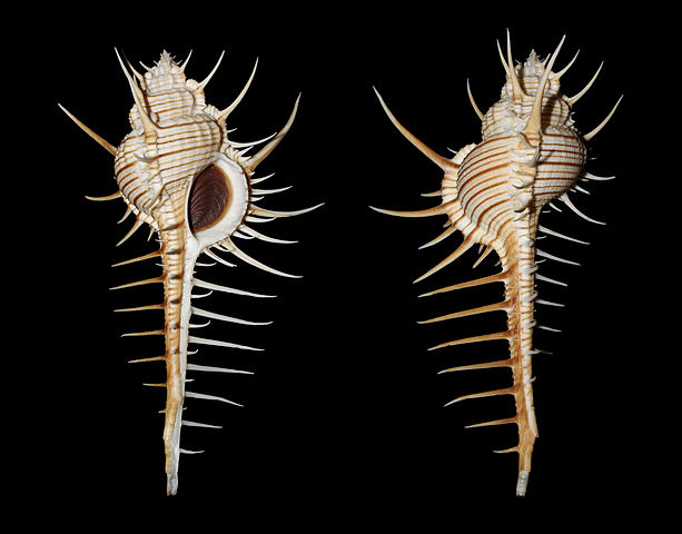 Plaatje bij antwoord