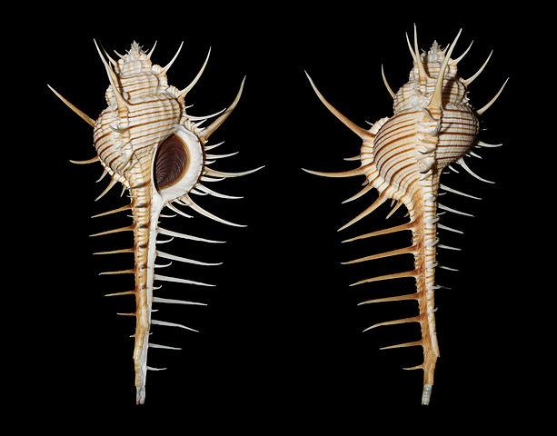 Plaatje bij antwoord