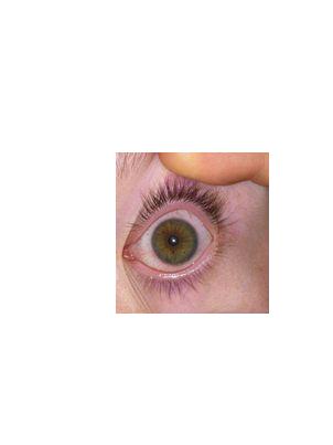 Picture for question