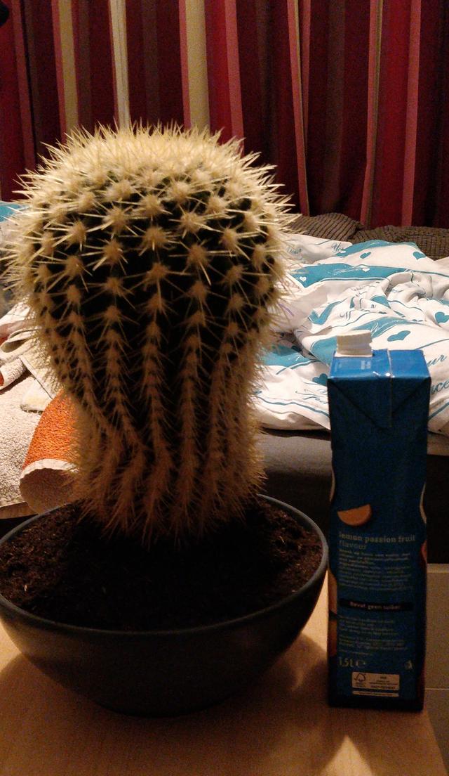 Picture for question